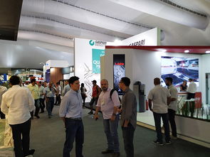 新天會(huì)展 專業(yè)的國內(nèi)與國際會(huì)展服務(wù)專家